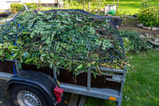 Best Commercial Junk Removal  in Fairfield, IL